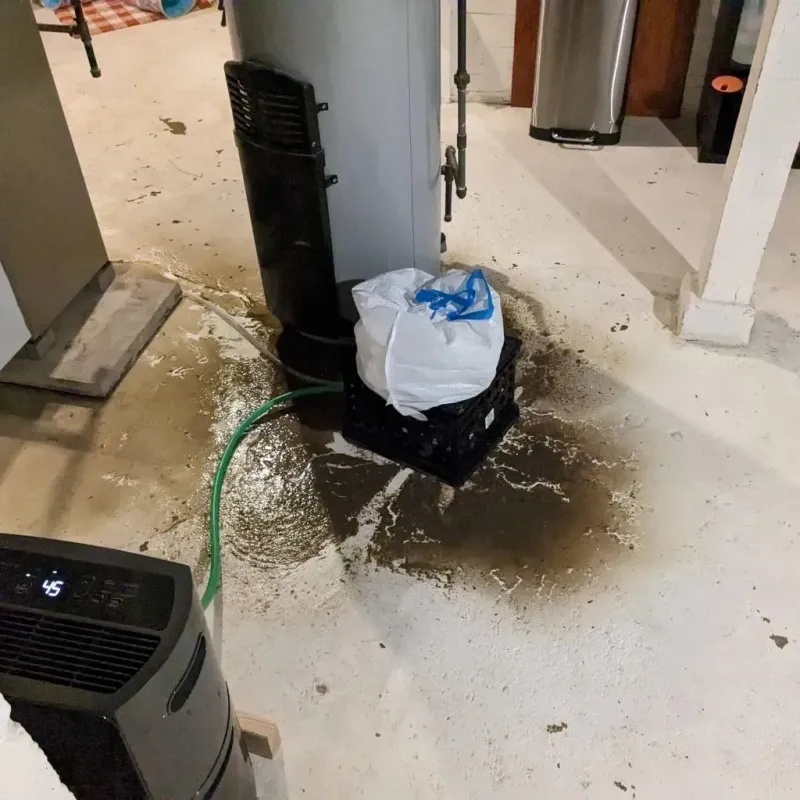 Sewage Backup Cleanup Service in Karnes City, TX